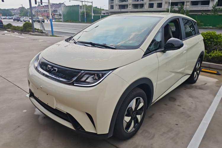 Used BYD Dolphin 2025 420km Free Edition Guazi used car, China used car export, Used car for sale, Used cars, Cheapest cars for sale