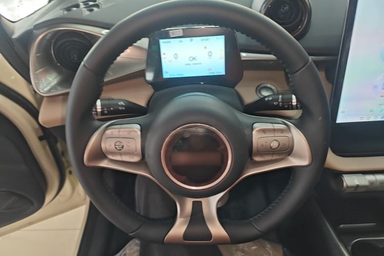 Used BYD Dolphin 2025 420km Free Edition Steering Wheel
