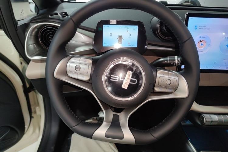 Used BYD Dolphin 2025 420km Free Edition Steering Wheel
