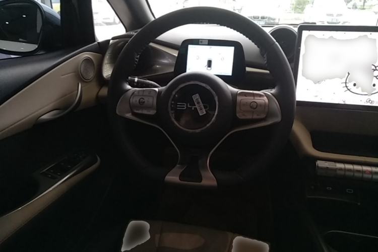 Used BYD Dolphin 2025 420km Free Edition Steering Wheel