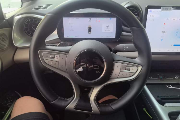 Used BYD Dolphin 2025 Smart Drive Version 420 km Freedom Edition Steering Wheel