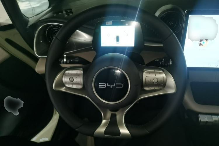Used BYD Dolphin 2025 420km Free Edition Steering Wheel