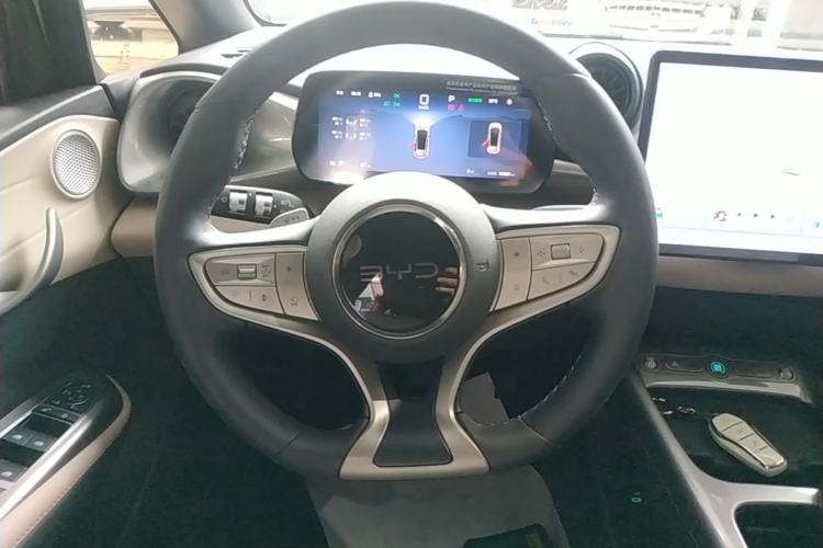 Used BYD Dolphin 2025 Smart Drive Version 420 km Freedom Edition Steering Wheel