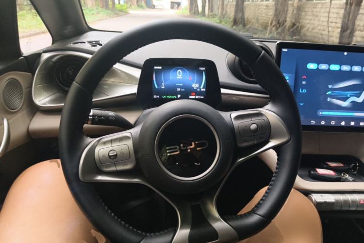 Used BYD Dolphin 2025 420km Free Edition Steering Wheel