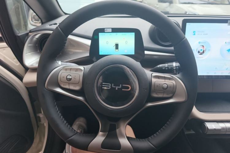 Used BYD Dolphin 2025 420km Free Edition Steering Wheel