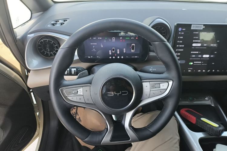 Used BYD Dolphin 2025 Smart Drive Version 420 km Freedom Edition Steering Wheel