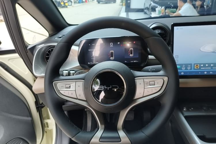 Used BYD Dolphin 2025 Smart Drive Version 420 km Freedom Edition Steering Wheel