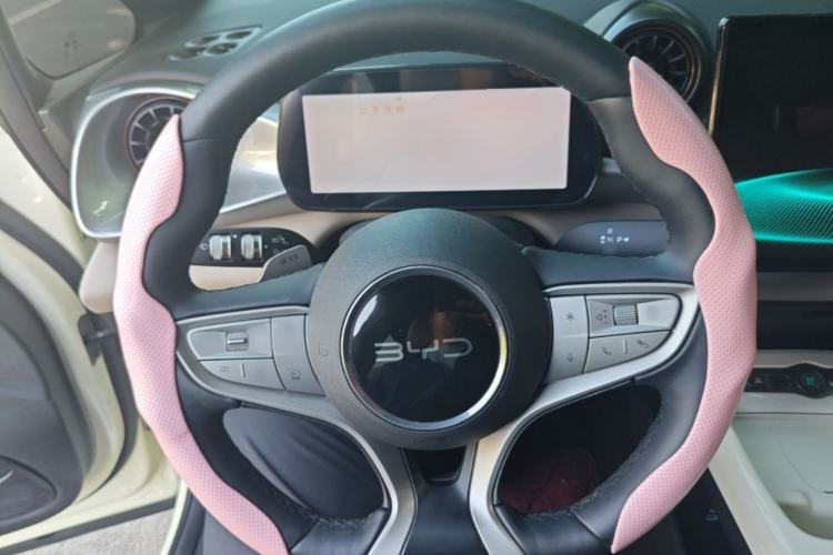 Used BYD Dolphin 2025 Smart Drive Version 420 km Freedom Edition Steering Wheel