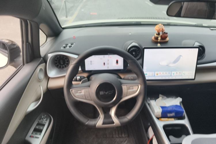 Used BYD Dolphin 2025 Smart Drive Version 420 km Freedom Edition Steering Wheel