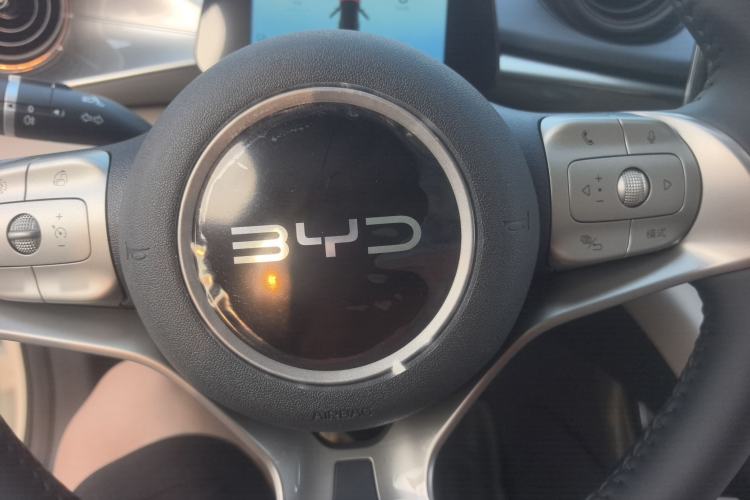 Used BYD Dolphin 2025 420km Free Edition Steering Wheel