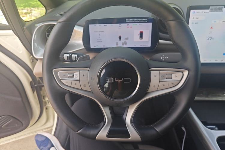 Used BYD Dolphin 2025 Smart Drive Version 420 km Freedom Edition Steering Wheel