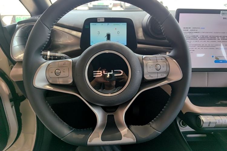 Used BYD Dolphin 2025 420km Free Edition Steering Wheel