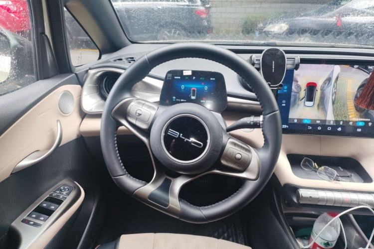 Used BYD Dolphin 2025 420km Free Edition Steering Wheel