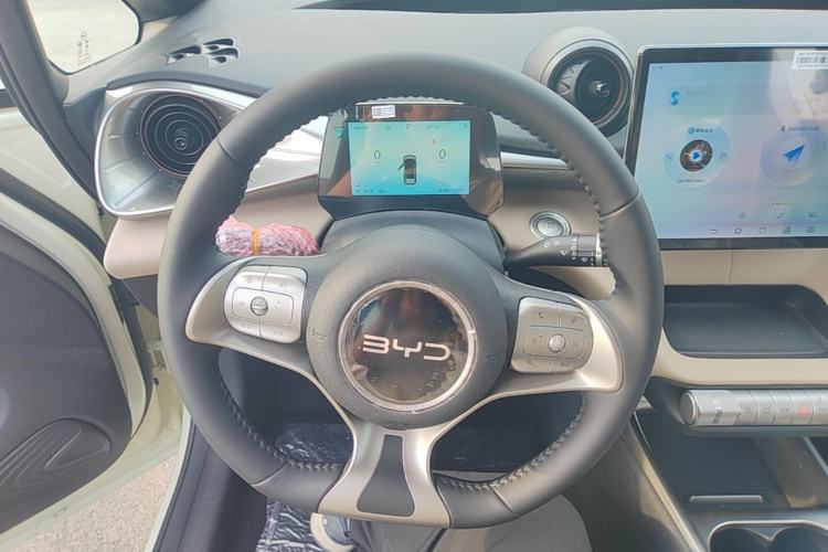 Used BYD Dolphin 2025 420km Free Edition Steering Wheel