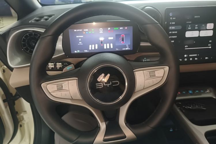 Used BYD Dolphin 2025 Smart Drive Version 420 km Freedom Edition Steering Wheel