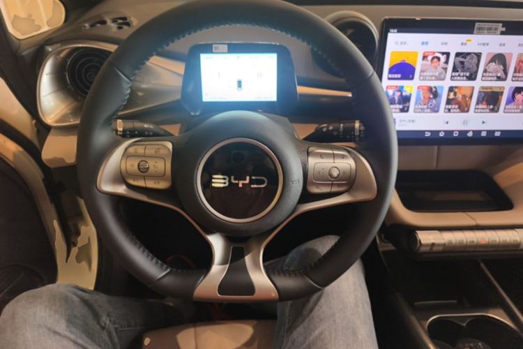 Used BYD Dolphin 2025 420km Free Edition Steering Wheel