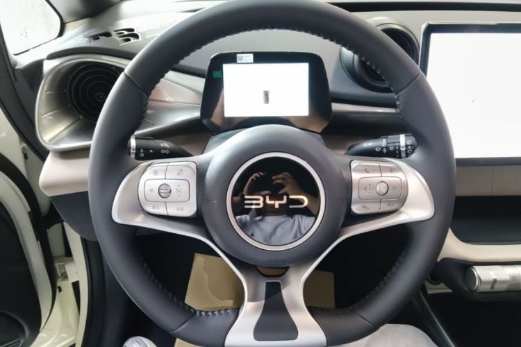 Used BYD Dolphin 2025 420km Free Edition Steering Wheel