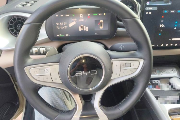 Used BYD Dolphin 2025 Smart Drive Version 420 km Freedom Edition Steering Wheel