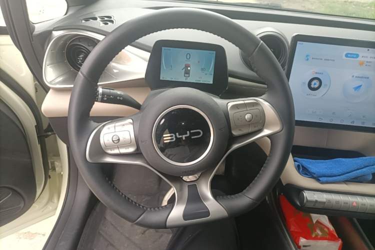 Used BYD Dolphin 2025 420km Free Edition Steering Wheel