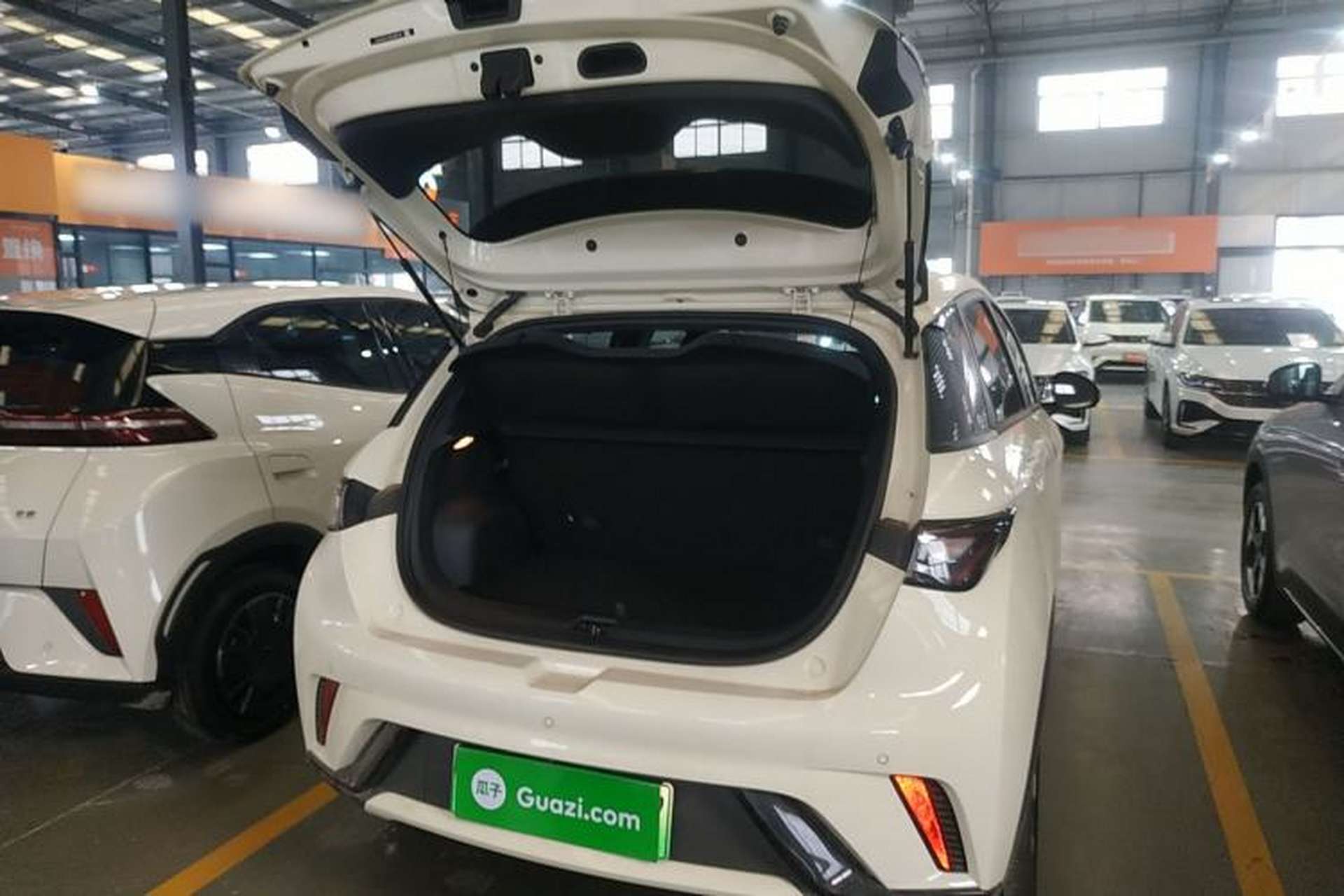 Used BYD Dolphin 2025 420km Free Edition Trunk