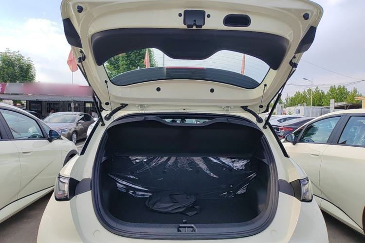 Used BYD Dolphin 2025 420km Free Edition Trunk
