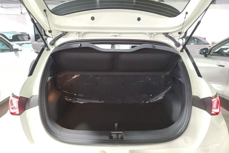 Used BYD Dolphin 2025 420km Free Edition Trunk
