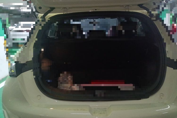 Used BYD Dolphin 2025 420km Free Edition Trunk