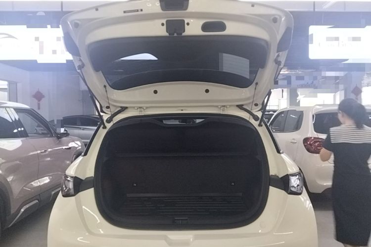 Used BYD Dolphin 2025 Smart Drive Version 420 km Freedom Edition Trunk