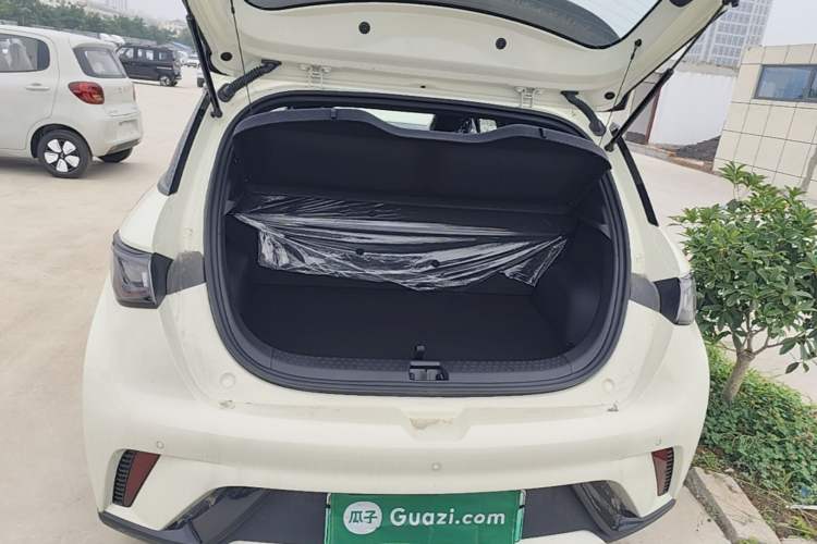 Used BYD Dolphin 2025 420km Free Edition Trunk