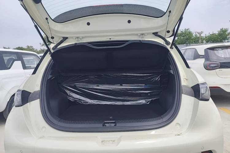 Used BYD Dolphin 2025 420km Free Edition Trunk