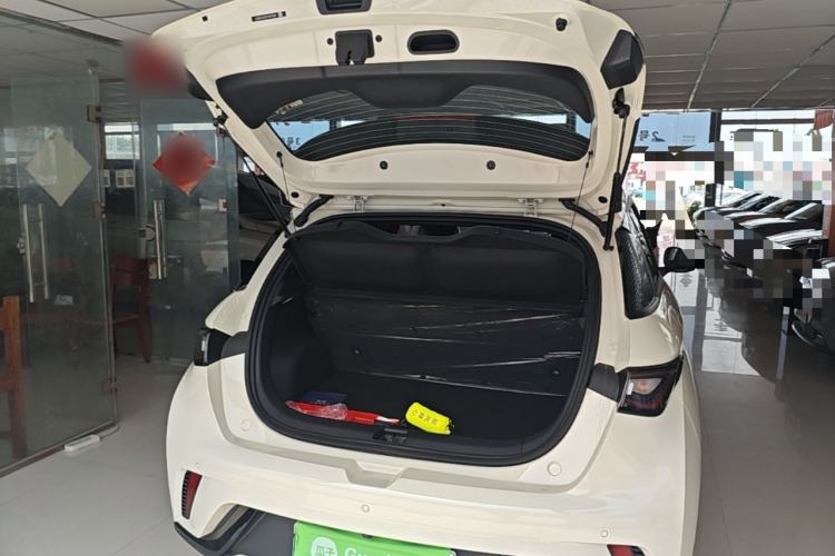 Used BYD Dolphin 2025 420km Free Edition Trunk