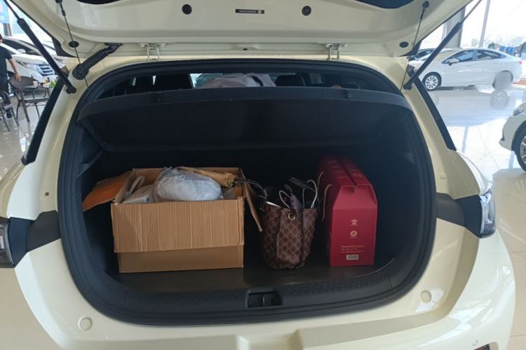 Used BYD Dolphin 2025 420km Active Version Trunk