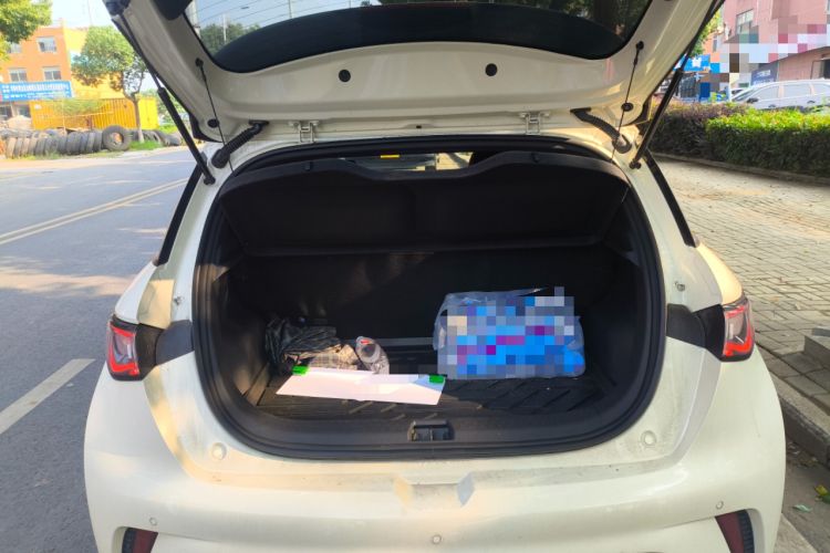 Used BYD Dolphin 2025 420km Free Edition Trunk