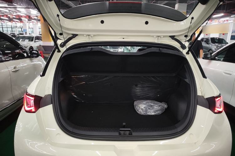 Used BYD Dolphin 2025 420km Free Edition Trunk