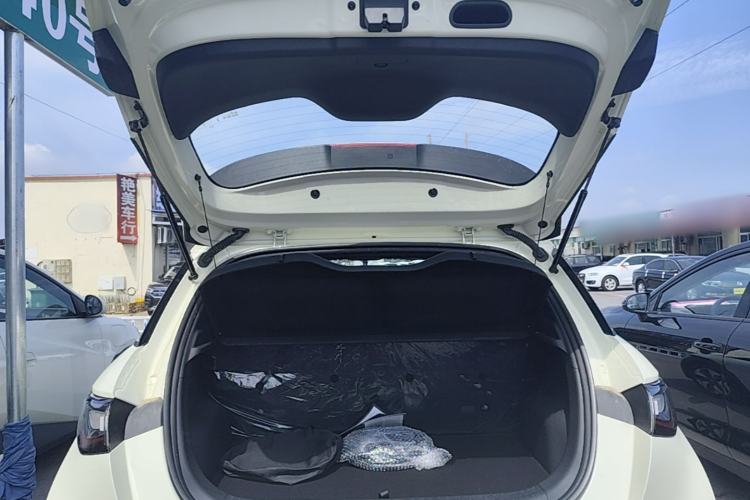 Used BYD Dolphin 2025 420km Free Edition Trunk