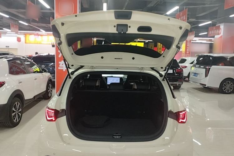 Used BYD Dolphin 2025 420km Free Edition Trunk