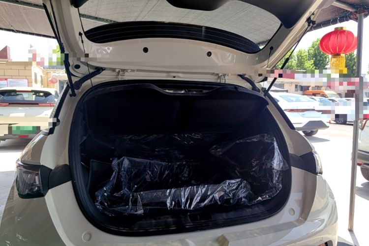Used BYD Dolphin 2025 420km Free Edition Trunk