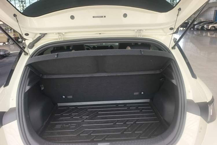 Used BYD Dolphin 2025 420km Active Version Trunk