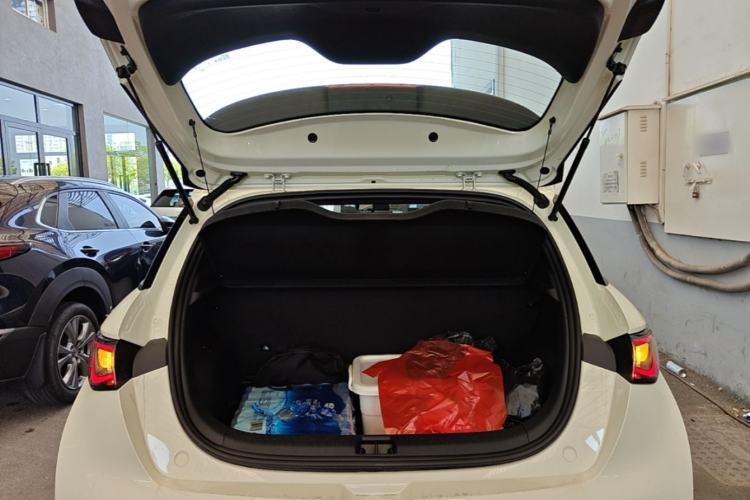 Used BYD Dolphin 2025 420km Free Edition Trunk