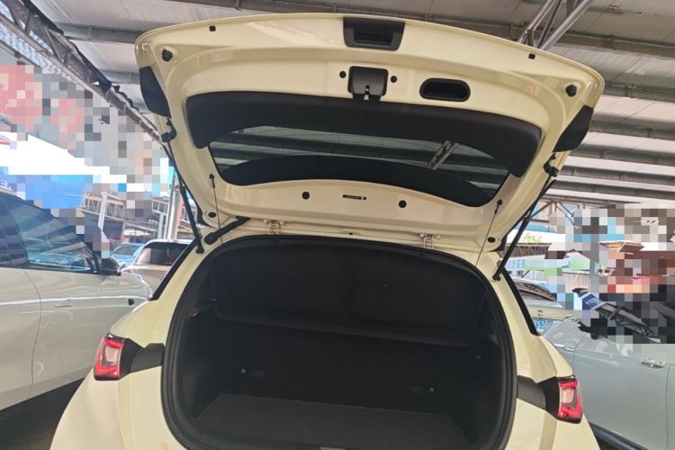 Used BYD Dolphin 2025 420km Active Version Trunk