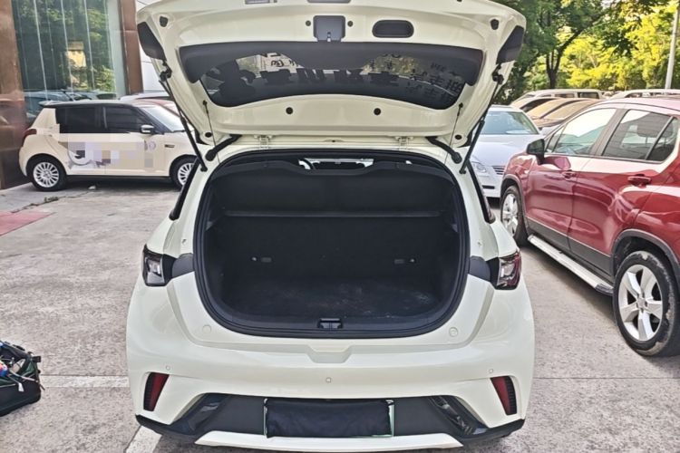 Used BYD Dolphin 2025 420km Free Edition Trunk