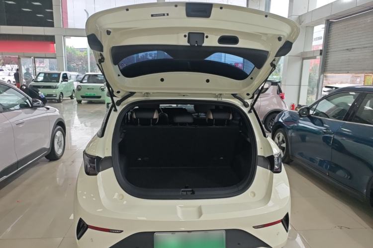 Used BYD Dolphin 2025 Intelligent Driving Version 410 km Fashion Edition Trunk