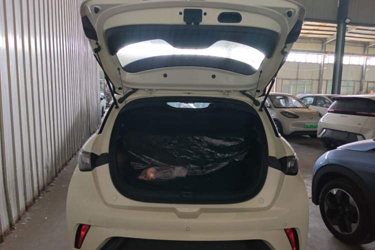Used BYD Dolphin 2025 420km Free Edition Trunk