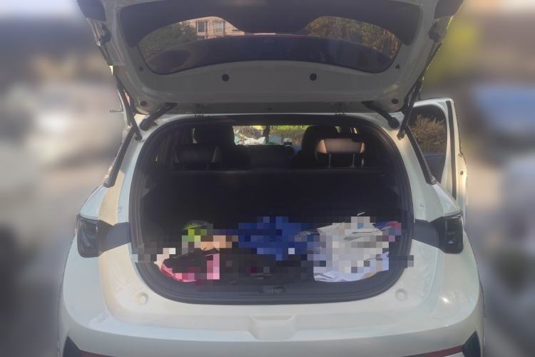 Used BYD Dolphin 2025 Smart Drive Version 420 km Freedom Edition Trunk