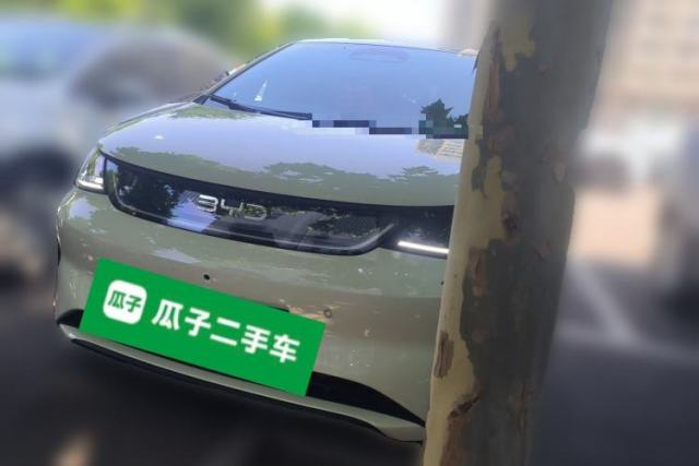 Used BYD Dolphin 2025 Smart Drive Version 420 km Freedom Edition