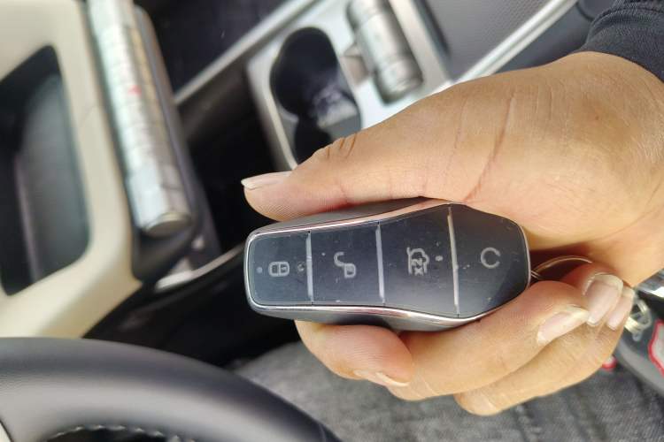Used BYD Dolphin 2025 420km Free Edition Vehicle Key