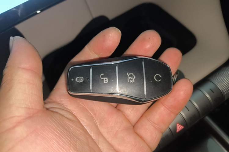 Used BYD Dolphin 2025 420km Free Edition Vehicle Key