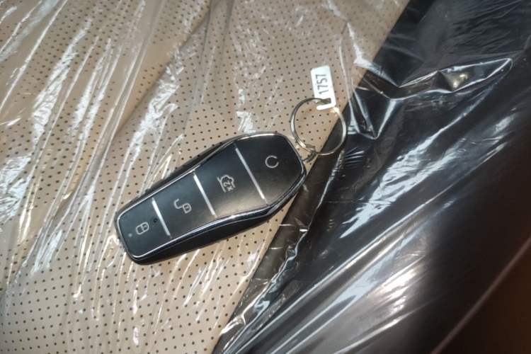 Used BYD Dolphin 2025 420km Free Edition Vehicle Key