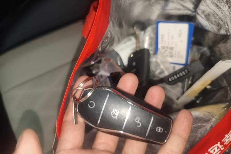 Used BYD Dolphin 2025 420km Free Edition Vehicle Key