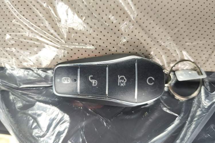 Used BYD Dolphin 2025 420km Free Edition Vehicle Key